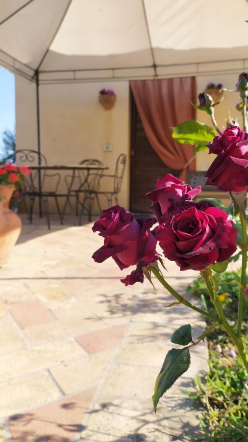 Il Casale Di Fiore 卡纳拉 外观 照片
