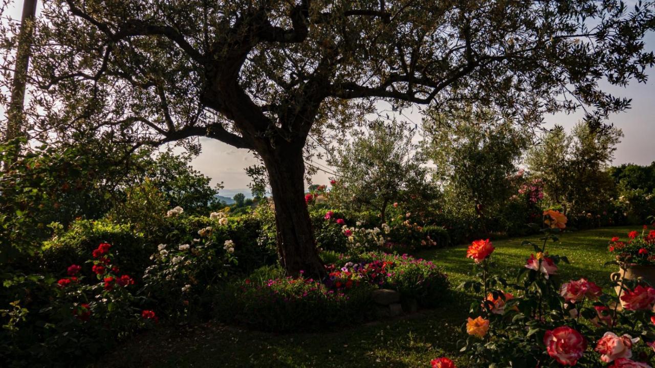 Il Casale Di Fiore 卡纳拉 外观 照片