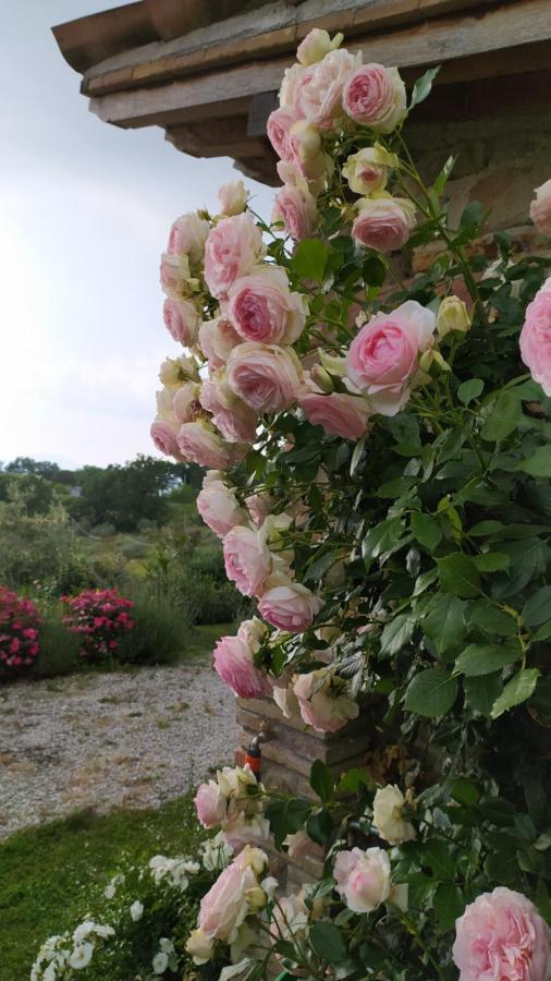 Il Casale Di Fiore 卡纳拉 外观 照片