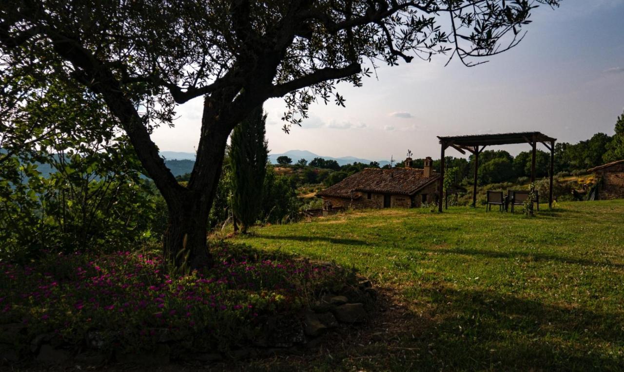 Il Casale Di Fiore 卡纳拉 外观 照片