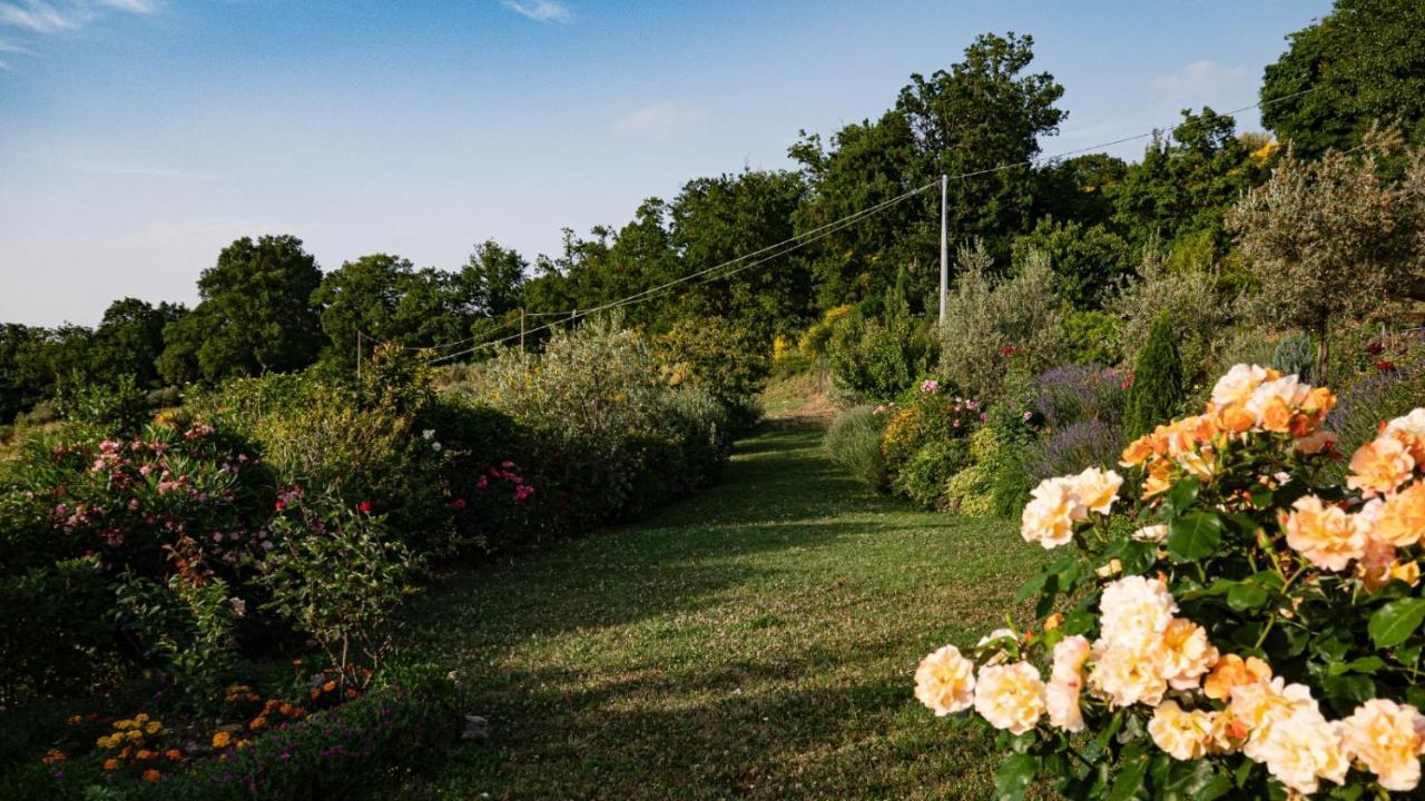 Il Casale Di Fiore 卡纳拉 外观 照片